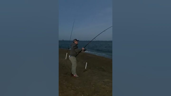 Pesca de Stripper