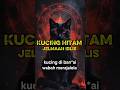 KARNA KUCING DI BAN*AI ORANG EROPA MUSNAH, BLACK DEATH#faktaunik#sejarah#kisahnyata#shorts#kucing