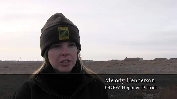 Melody Henderson interview