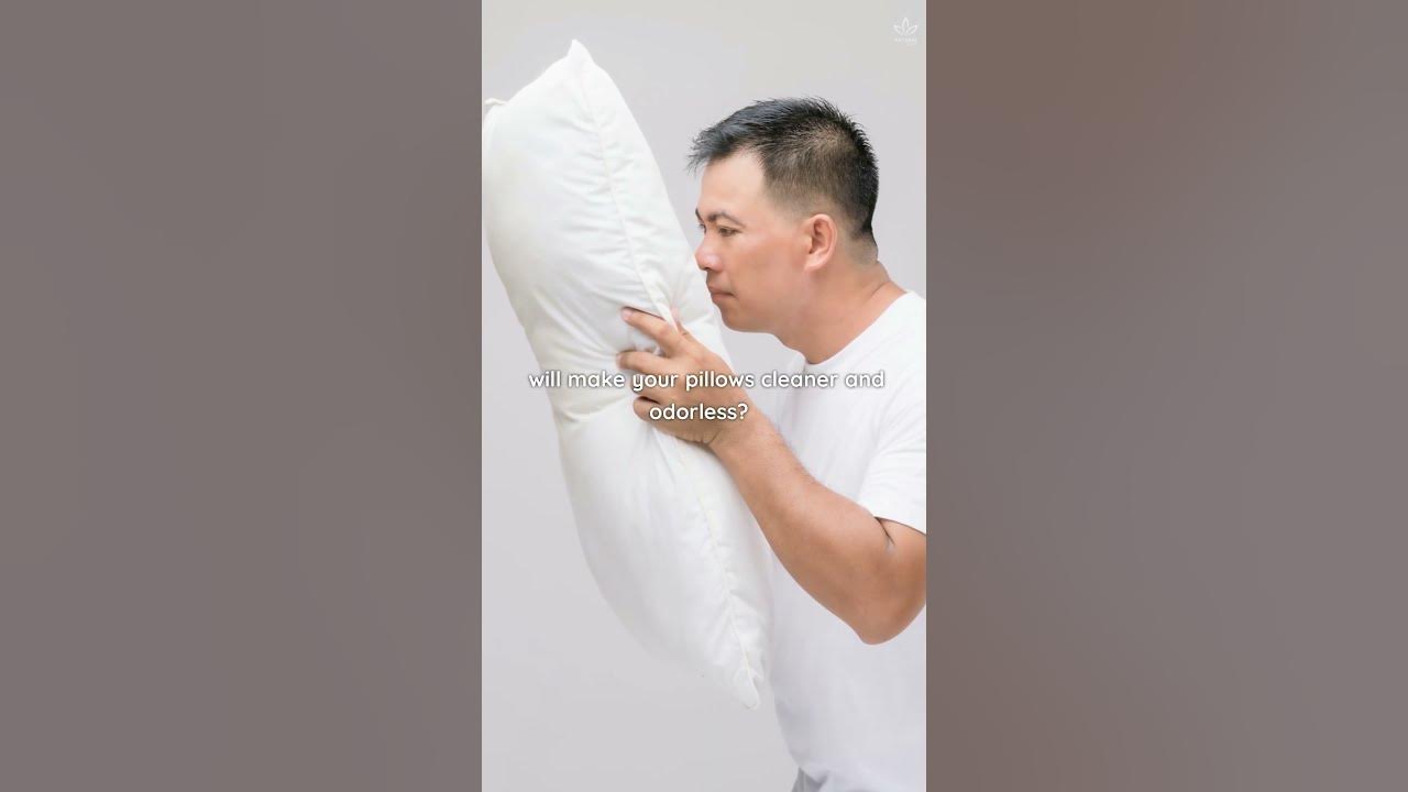 Why You Should Clean Your Pillows (And How To Do It) YouTube