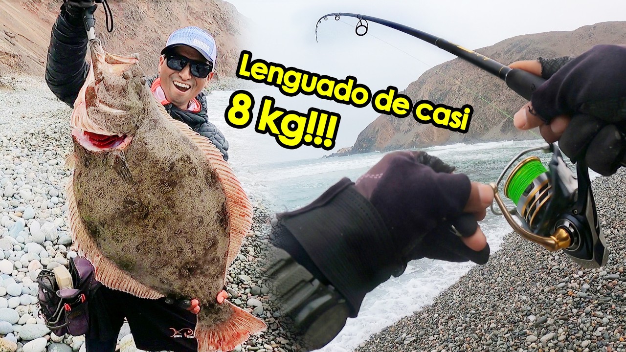 Lenguadazo, casi 8 kg!! pero fue todo un calvario encontrarlo