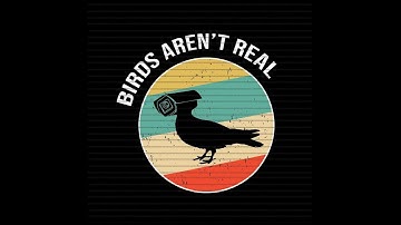 Collaborative Inquiry Project