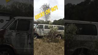Have to kill you.!! Treasures, barn finds, junkyard cars, Rat rods abandoned cars, vintage cars,