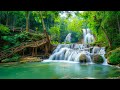 Relaxing music for stress relief anxiety and depressive states  heal mind body and soul
