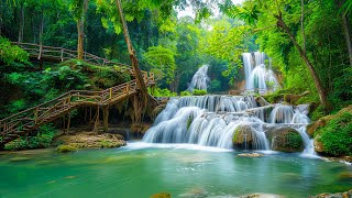 Relaxing Music For Stress Relief, Anxiety and Depressive States • Heal Mind, Body and Soul screenshot 3