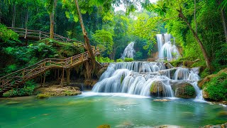 Relaxing Music For Stress Relief, Anxiety and Depressive States • Heal Mind, Body and Soul screenshot 4