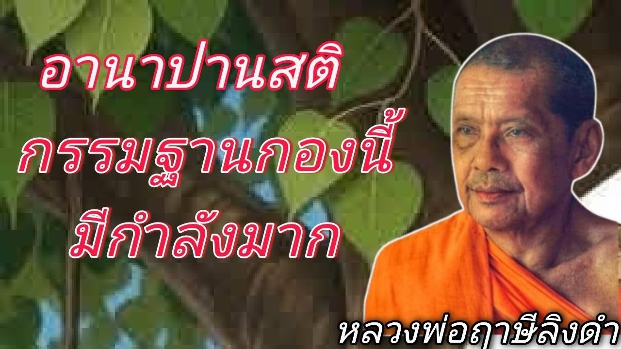 อานาปานสติ กรรมฐานกองนี้มีกำลังมาก เทศนาธรรมโดย หลวงพ่อฤาษีลิงดำ #ช่องเสียงธรรมะ