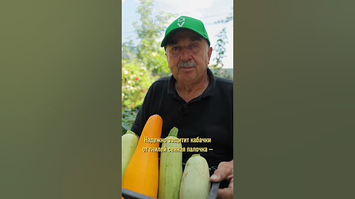 Ваши кабачки будут свежими до самой весны! Вот что для этого нужно