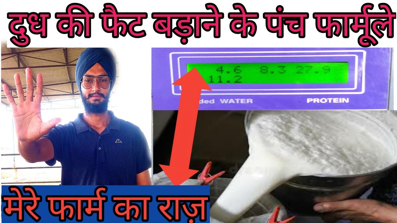 How to increase milk fat। दुध की फैट बढाने वाला पाउडर।dudh ki fat kaise badhaye। Dairy farmer।