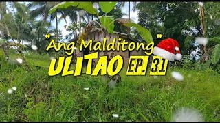 Ang Malditong Ulitaw Ep 31   