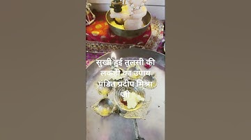 सुखी हुई तुलसी🌿 की लकड़ी का उपाय🙏# Pradeep Mishra ji# upay #Shiv mahapuran#