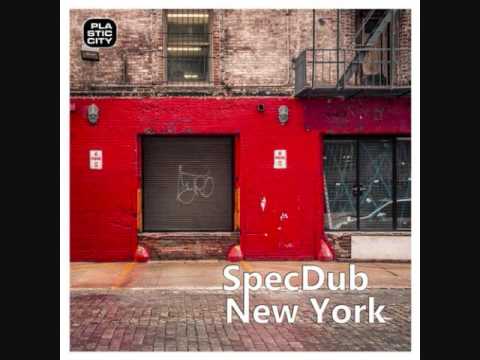 SpecDub - New York (Forteba remix)