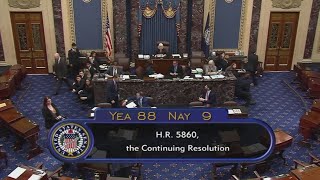 U.S. government shutdown temporarily avoided: What to know