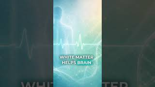 Low B12 May Hide Brain Damage in Older Adults
