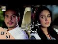 Watch Chandni Begum Episode 61 - 2nd January 2018 - ARY Digital Drama Online In Hd