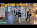 【4k hdr】 3 Hours Heavy Rain Walk in Harajuku（原宿）Tokyo Japan | Relaxing Natural City ambience