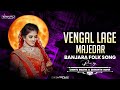 Vengal lage majedar new banjara folk song remix by dj chintu mbnr   dj srikanth mbnr