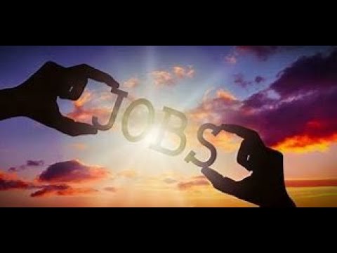 Understanding Job Titles in work