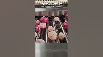 Rolling Rod Type Potato Size Grading Machine