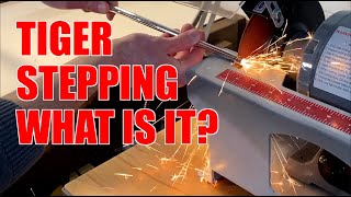 TIGER STEPPING / TIGER WOODS WEDGE BUILD SETUP screenshot 1