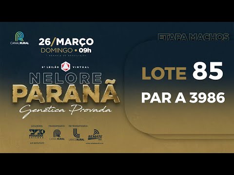 LOTE 85 PAR A3986