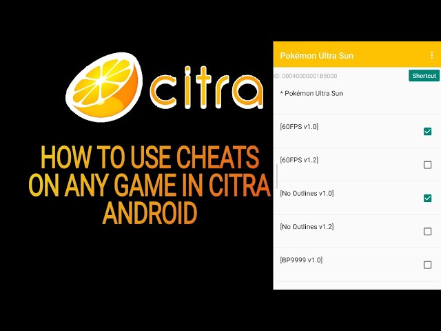 CITRA 10-12-16 SPEED HACK