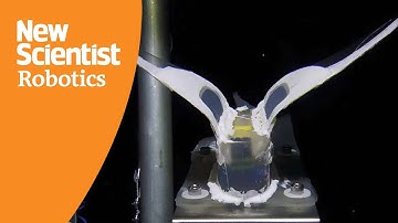 A submersible soft robot survived the pressure in the Mariana trench