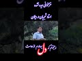 نه مجنونم که دل بردارم از دوست... | دیلمان شجریان! 💎