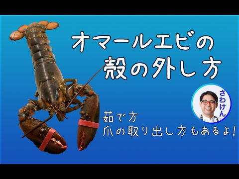 オマール海老（ロブスター）の殻のむき方＆爪の割り方。Comment découper du homard