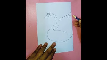 How to drawing swan 🦢 to easy way. #swan #shortvideo #shorts #art #drawing #pencildrawing #easydraw