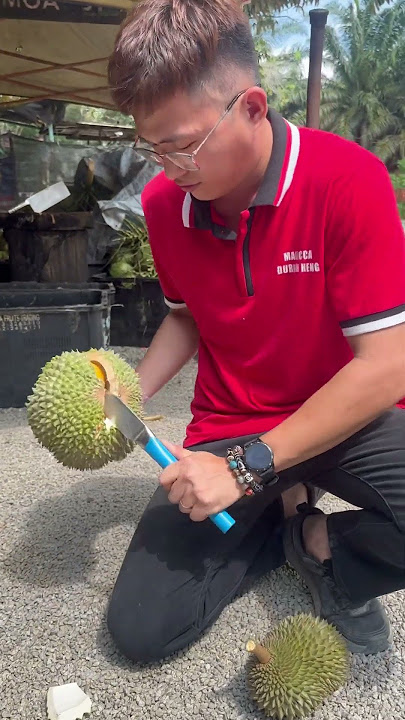 Unboxing Durian BlackThorn D200 #fruit #musangking #durian #malaccadurianheng #fypシ゚ #fruitcutting
