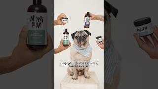 Doug Has An Announcement! His New Dog Wellness Company, Nonipup, Is Out Now! Www.nonipup.com