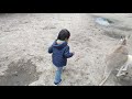 Caversham - Perth Trip - Kangaroo dan Firdaus Part 2