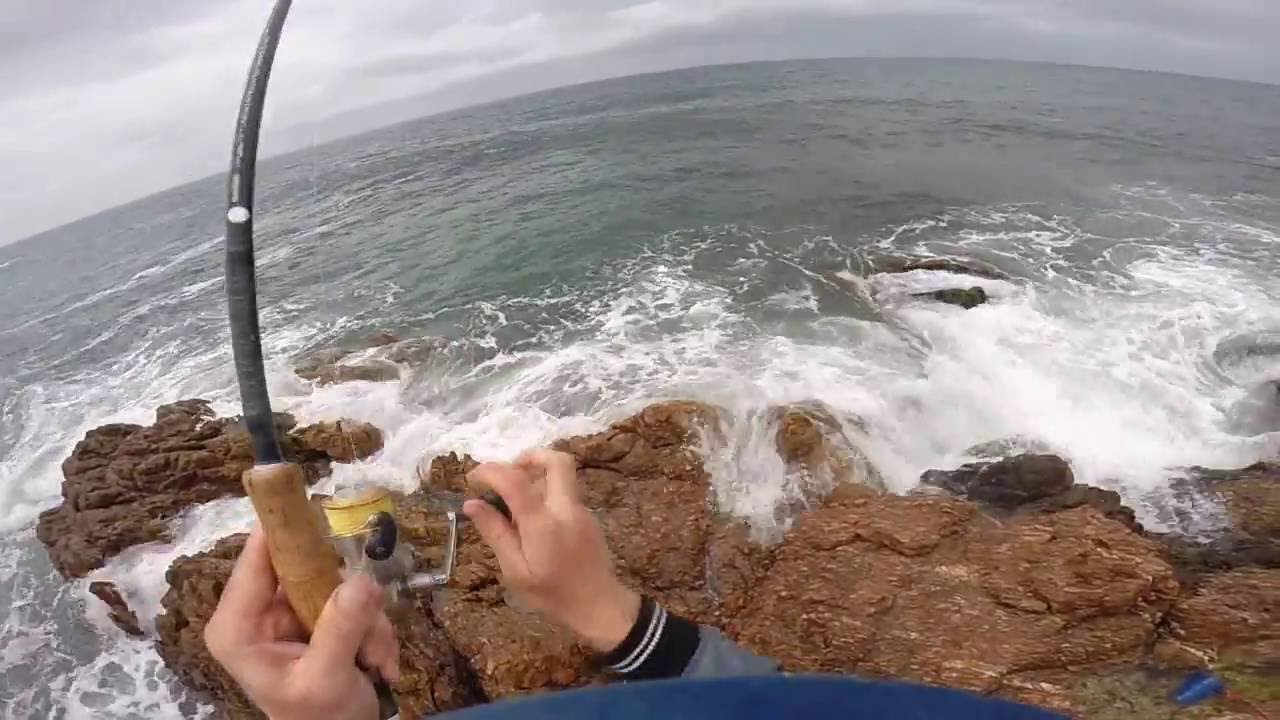 Rock Fishing For Dusky Morwong