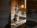 寒冬に猫の温泉♨️時間コレクション #music #peacefulsoothing #relaxing #asmr#Pets #Cats #Dogs #CutePets #ペット