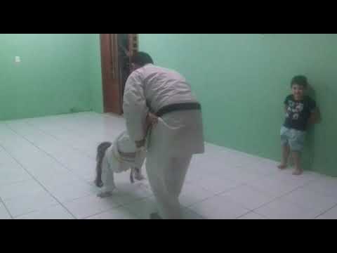 Aquecimento pesado camera iphone 8 plus apk