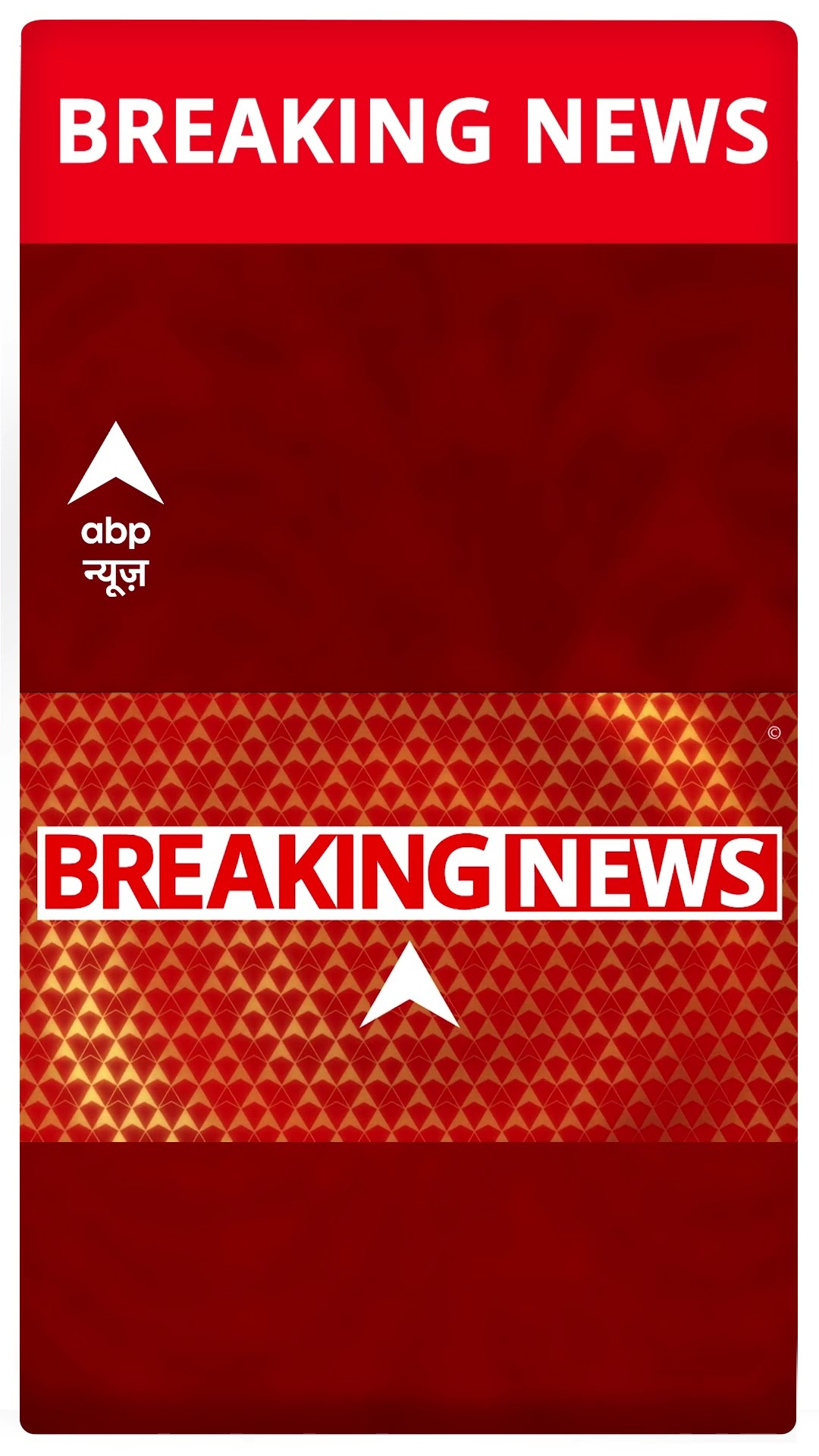Delhi Elections 2025: दिल्ली के चांदनी चौक के इलाके में बीजेपी ने लगाए 'शीशमहल' के पोस्टर #abpnews