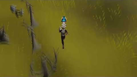 Runescape Auto Switcher:  Best RS Auto Switcher and Clicker on the market!