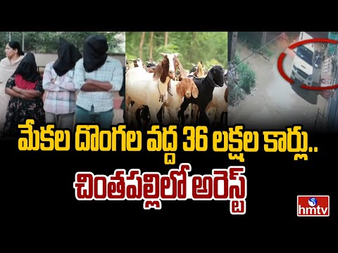 మేకల దొంగల వద్ద 36 లక్షల కార్లు.. చింతపల్లిలో అరెస్ట్ | Nalgonda | Chintapalli | hmtv - HMTVNEWS
