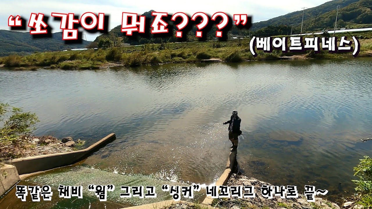 ep.52 배스낚시 쏘감의 계절? 한가지 채비로 사계절 보내기 진행 중... (베이트피네스) bassfishing