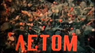 Времена года, Животные в разные времена года Времена года, Животные в разные времена года