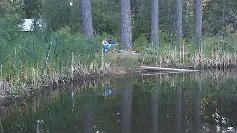 On Donna's pond