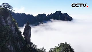宛如仙境黄山东海景区现壮美云海景观 Cctv