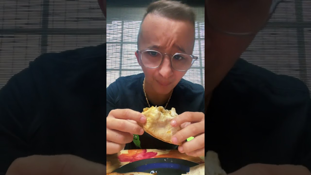 Savory snack review: chicken quesadilla delight 