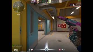 shadowplay dump #1