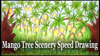 How to Draw Mango Tree Scenery Step by Step (very easy) Speed Drawing