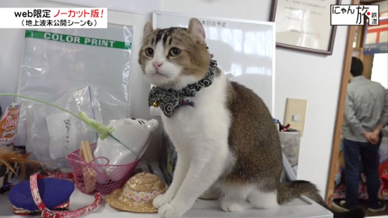 Vol.24「にゃん旅鉄道」にゃんこのかくれんぼニャン！【らぶ駅長