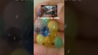 compren las orbe