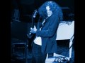 Allen Collins Band: Chapter One