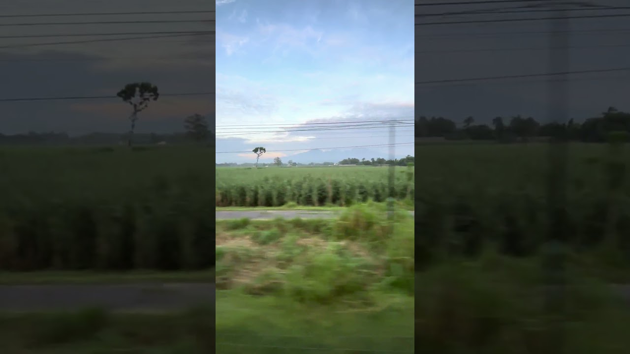 Healing view Mountain via Train 